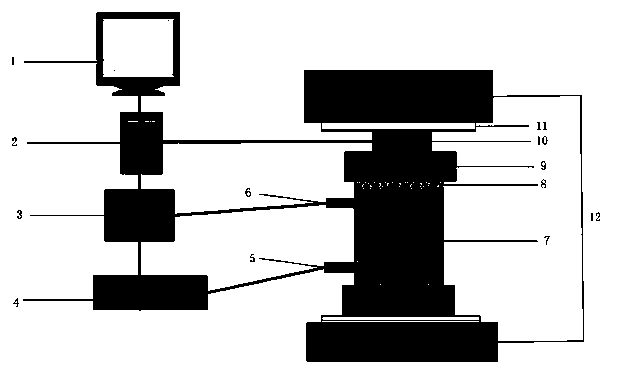 Novel biodegradable vascular stent preparation method