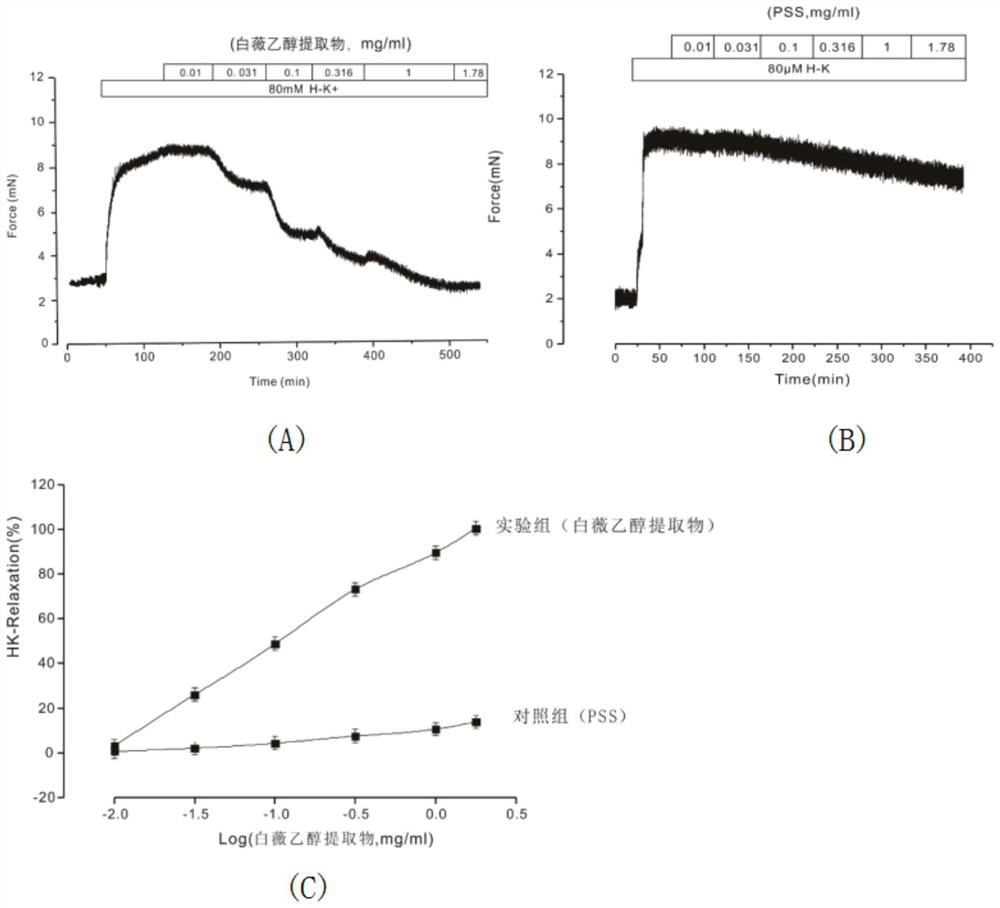 Application of Baiwei extract in preparation of medicine for relaxing airway smooth muscle