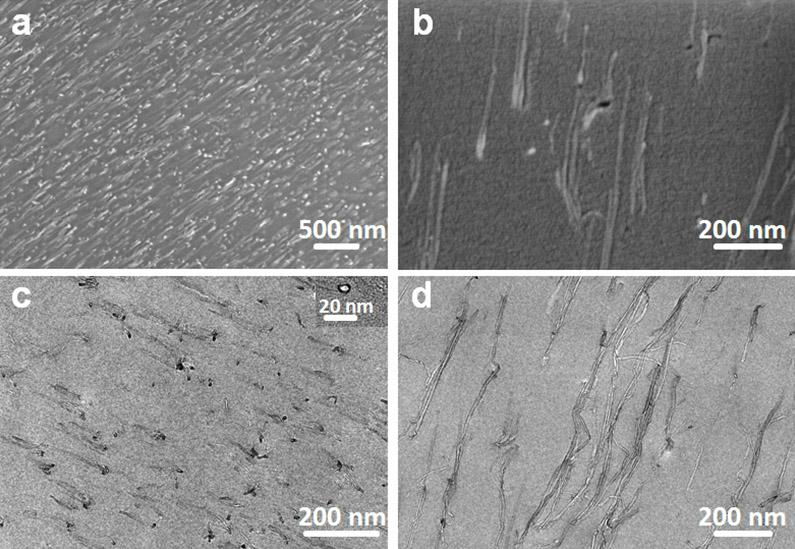 Preparation method of oriented carbon nano tube/ polymer composite membrane