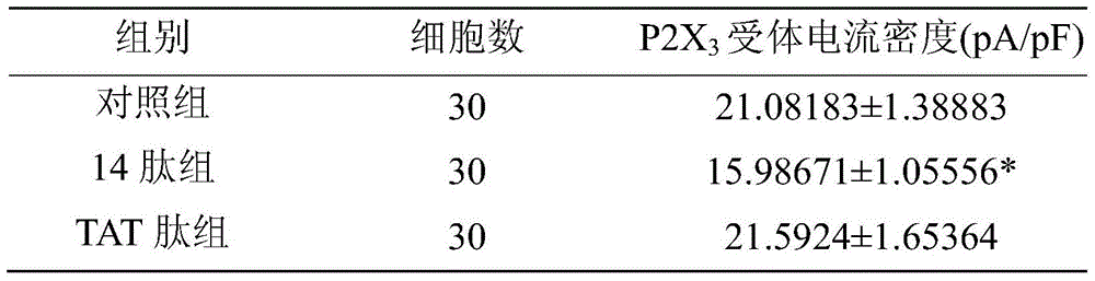 Polypeptide small molecule and its application in the preparation of drugs for preventing and treating overactive bladder