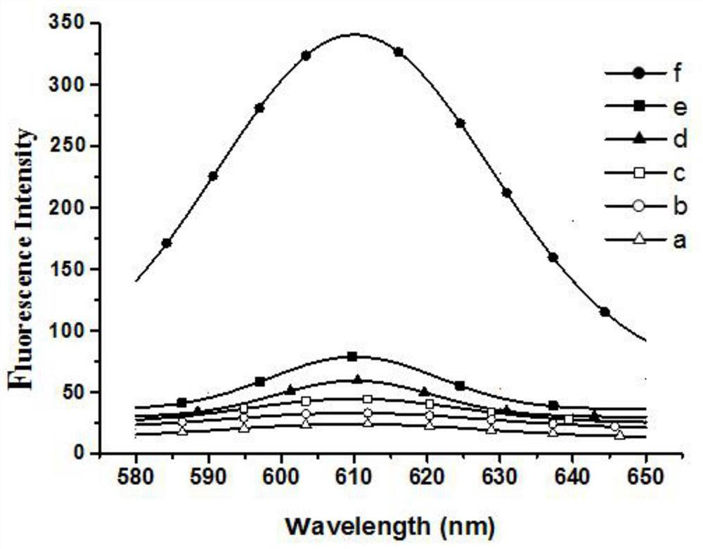 Detection method of e.coli O157:H7 free from enzyme and fluorescence labeling