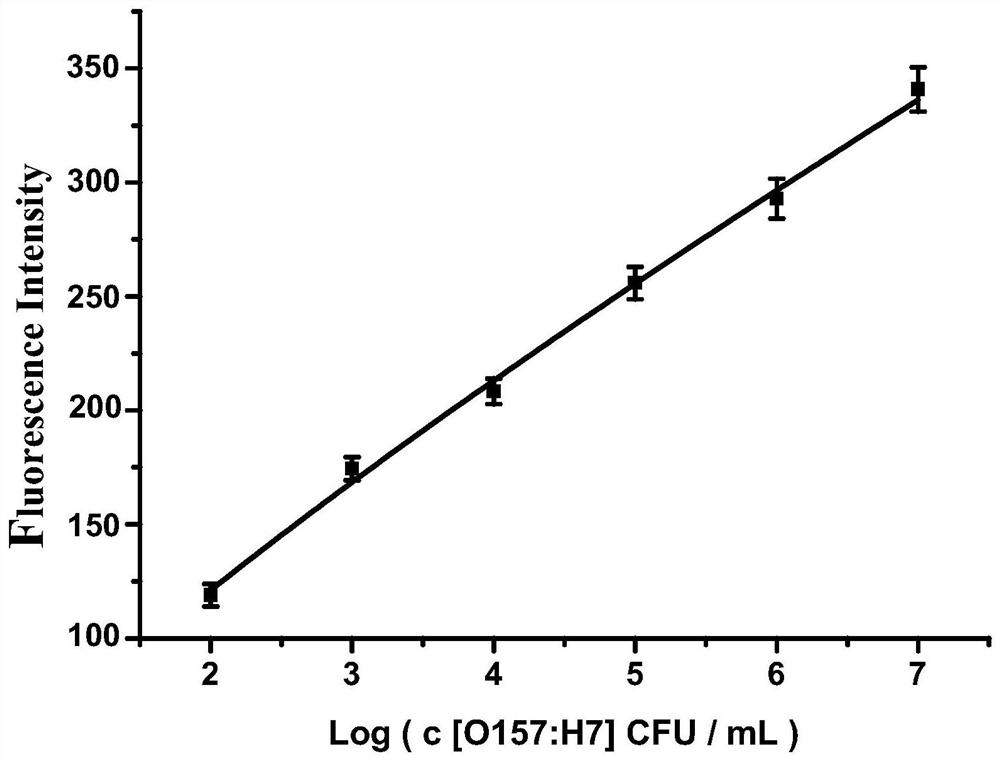 Detection method of e.coli O157:H7 free from enzyme and fluorescence labeling