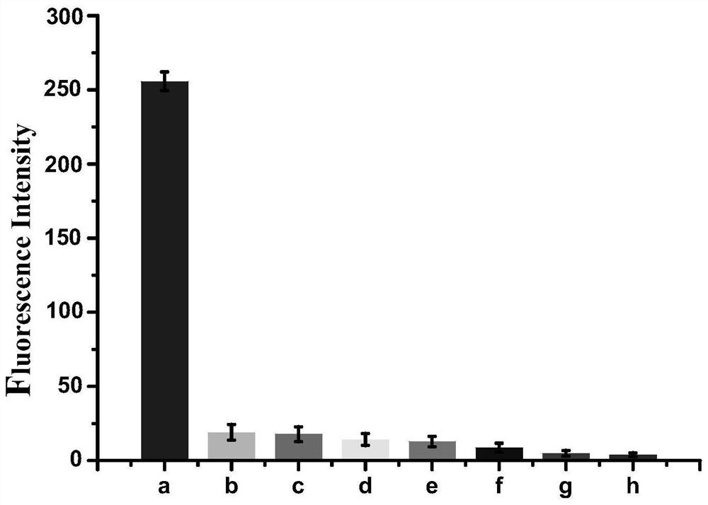 Detection method of e.coli O157:H7 free from enzyme and fluorescence labeling