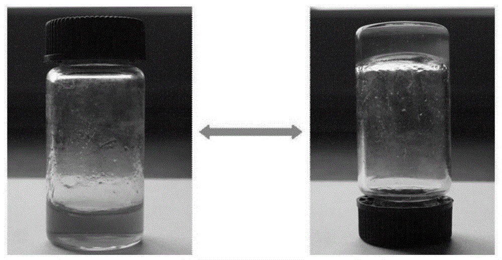 A degradable multi-branched glycopeptide hydrogel against postoperative scars and its preparation method