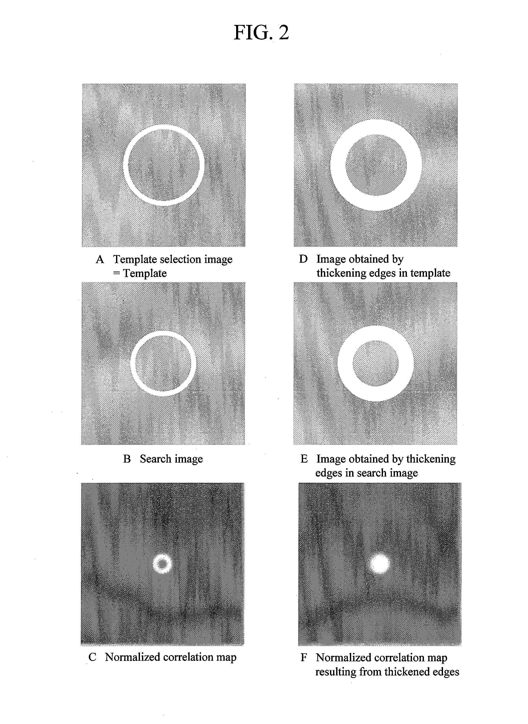 Image inspection apparatus