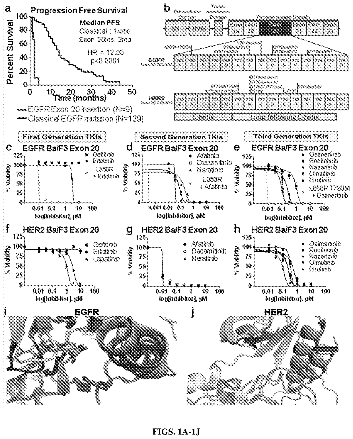 Compounds with Anti-tumor activity against cancer cells bearing EGFR or her2 exon 20 mutations