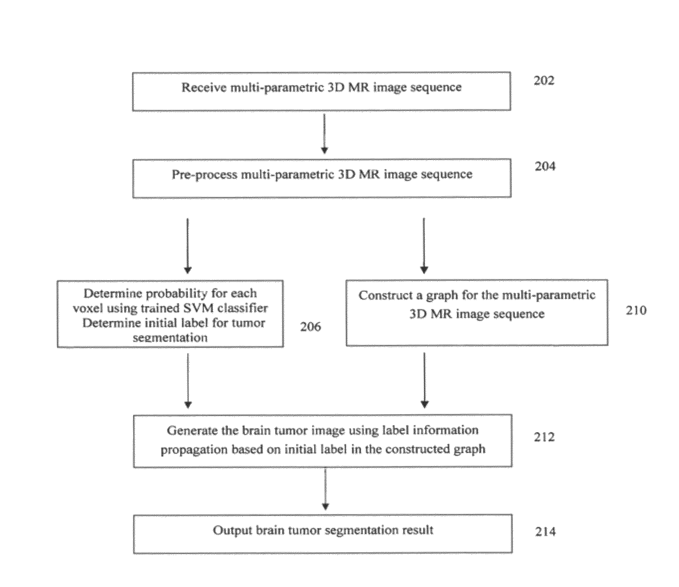 Method and system for brain tumor segmentation in multi-parameter 3D MR images via robust statistic information propagation