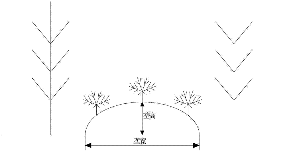 Production method of moutan barks