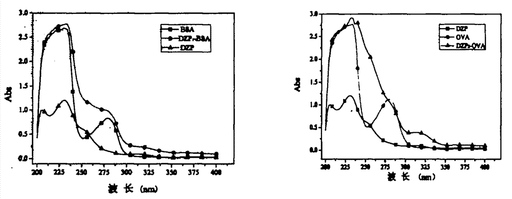 Diazepam monoclonal antibody screening and application