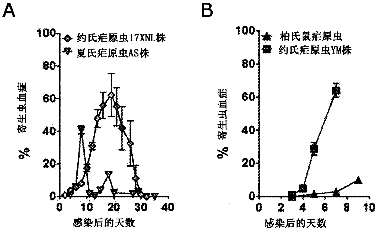 Immune-modulating compounds