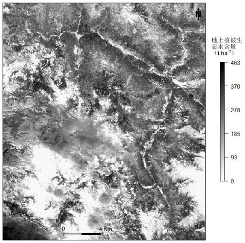 Quantitative inversion method of aboveground vegetation ecological water based on remote sensing technology