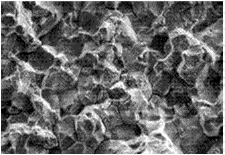 DWTT (Drop Weight Tear Test) specimen fracture imaging method