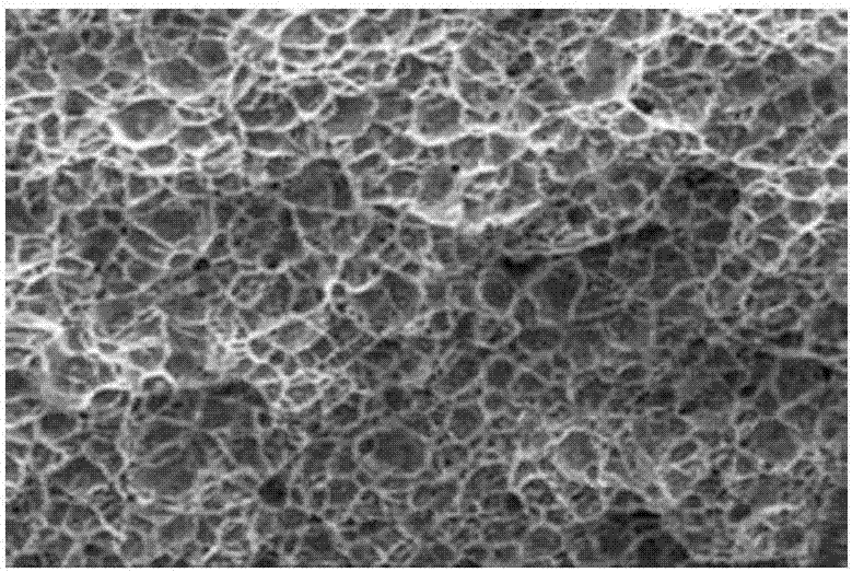 DWTT (Drop Weight Tear Test) specimen fracture imaging method