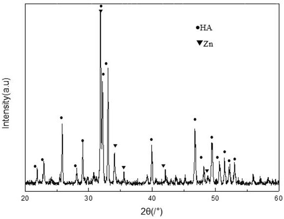 A preparation method of nano-loaded zinc hydroxyapatite porous bioceramics