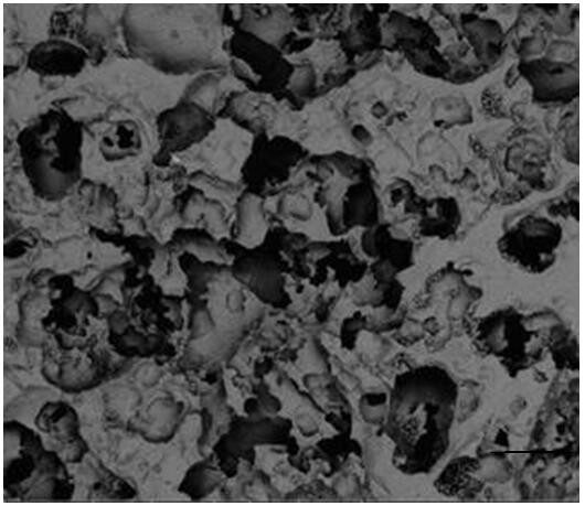 A preparation method of nano-loaded zinc hydroxyapatite porous bioceramics