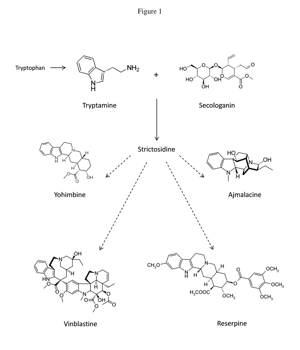 Method to increase the yield of products in plant material