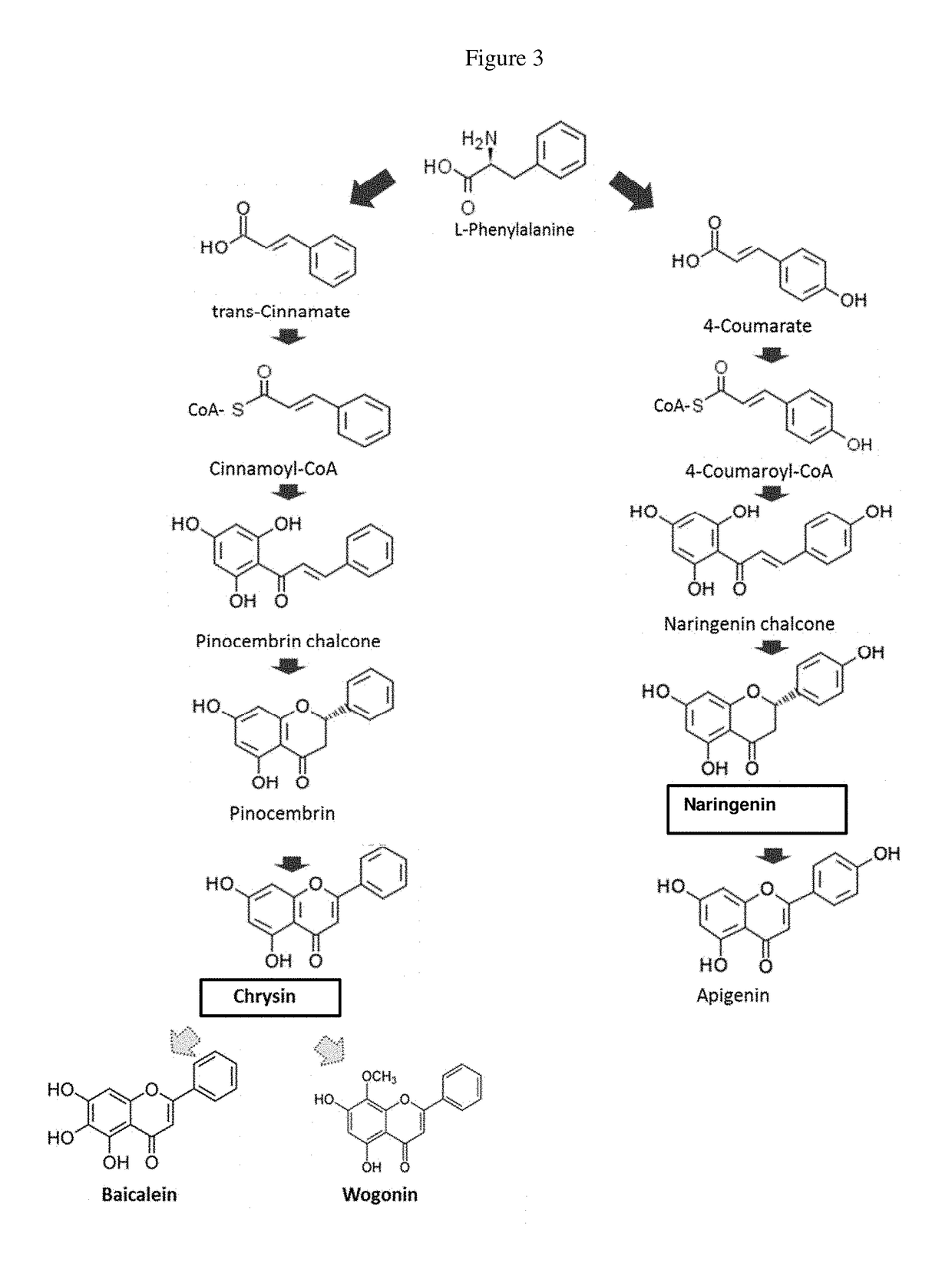 Method to increase the yield of products in plant material