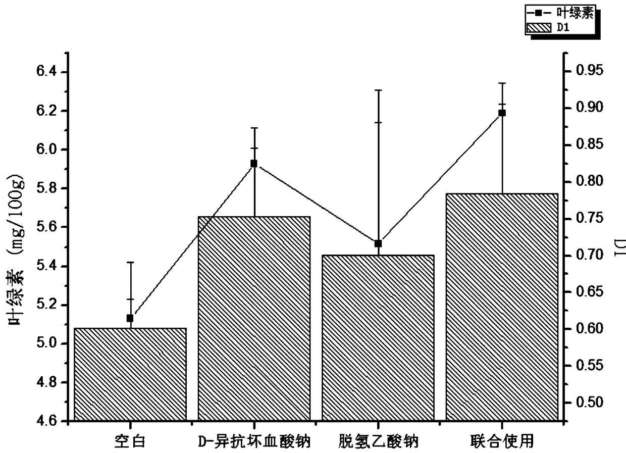 Green and red pepper sauce and preparation method thereof