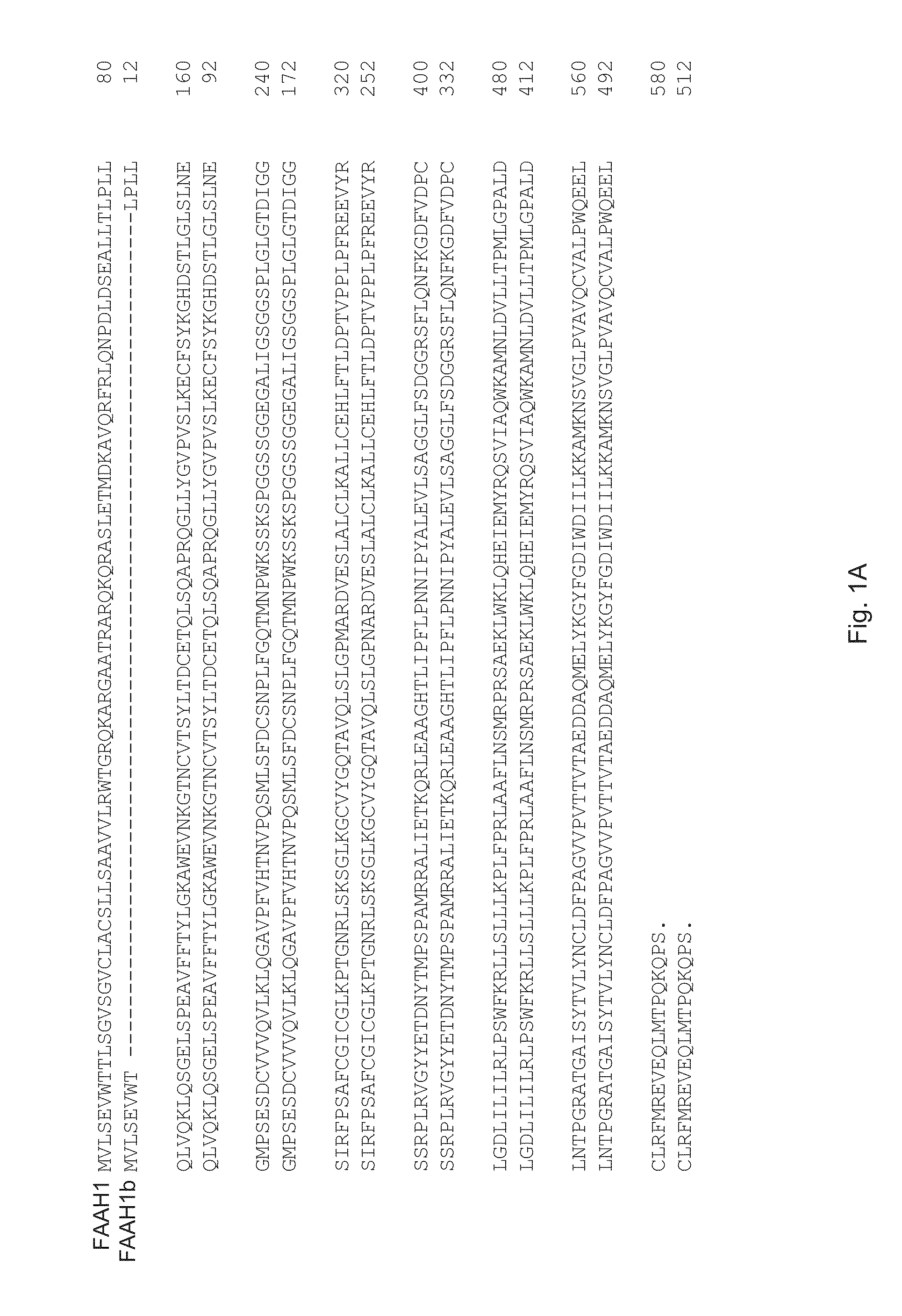 Inhibitors of anandamide transport and their therapeutic uses