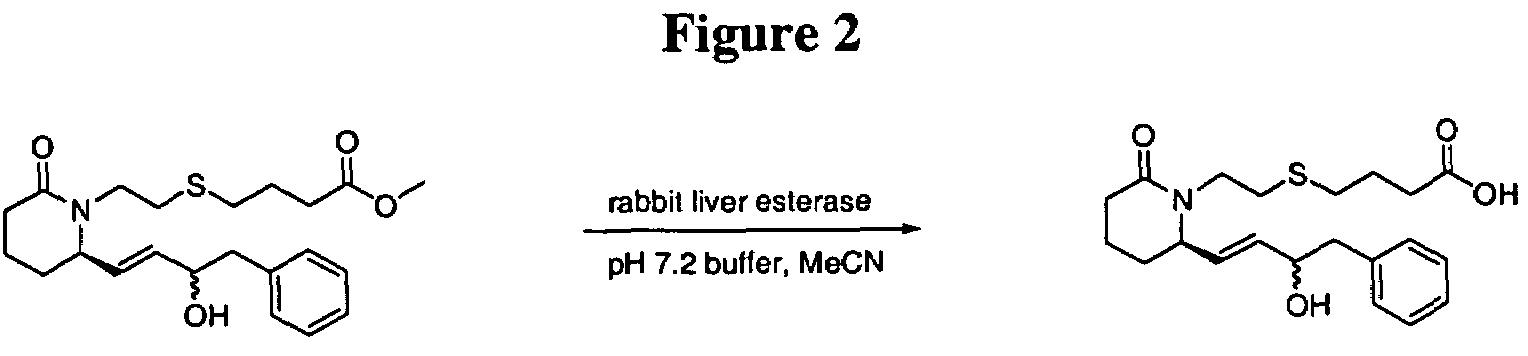 5-thiopiperdinyl prostaglandin E analogs