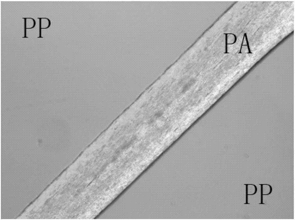 Preparation method of interface interlocked polyphase polypropylene-based polymer blending composite material