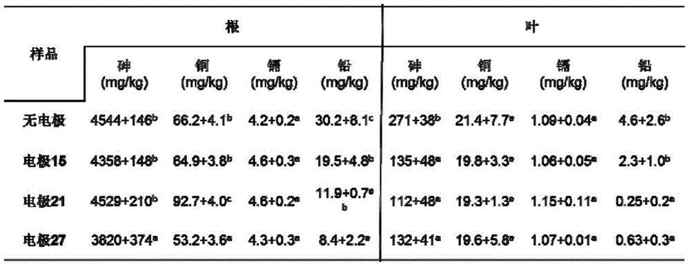 Electrode device and method for lowering arsenic and lead concentrations in rice