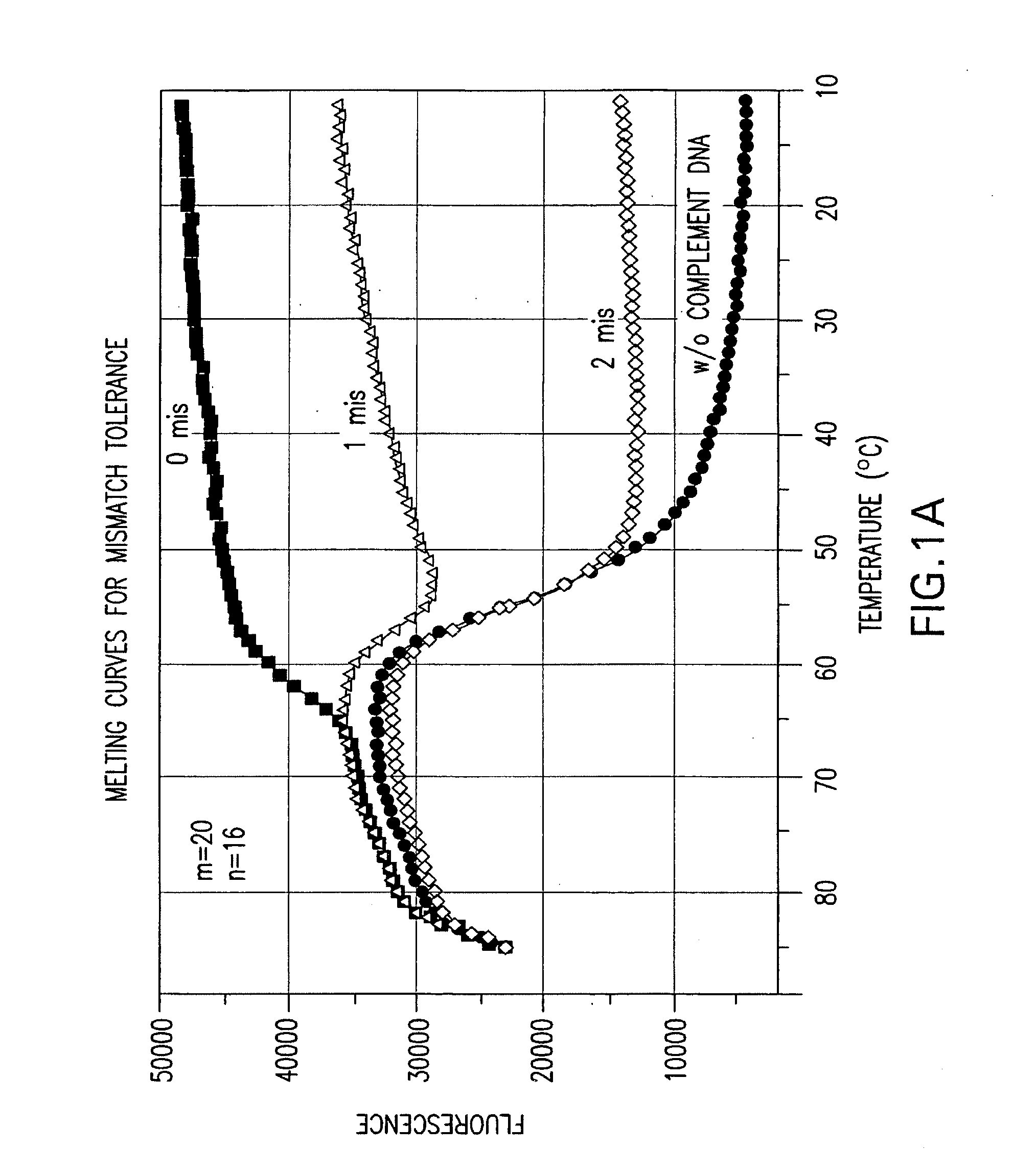 Double stranded linear nucleic acid probe