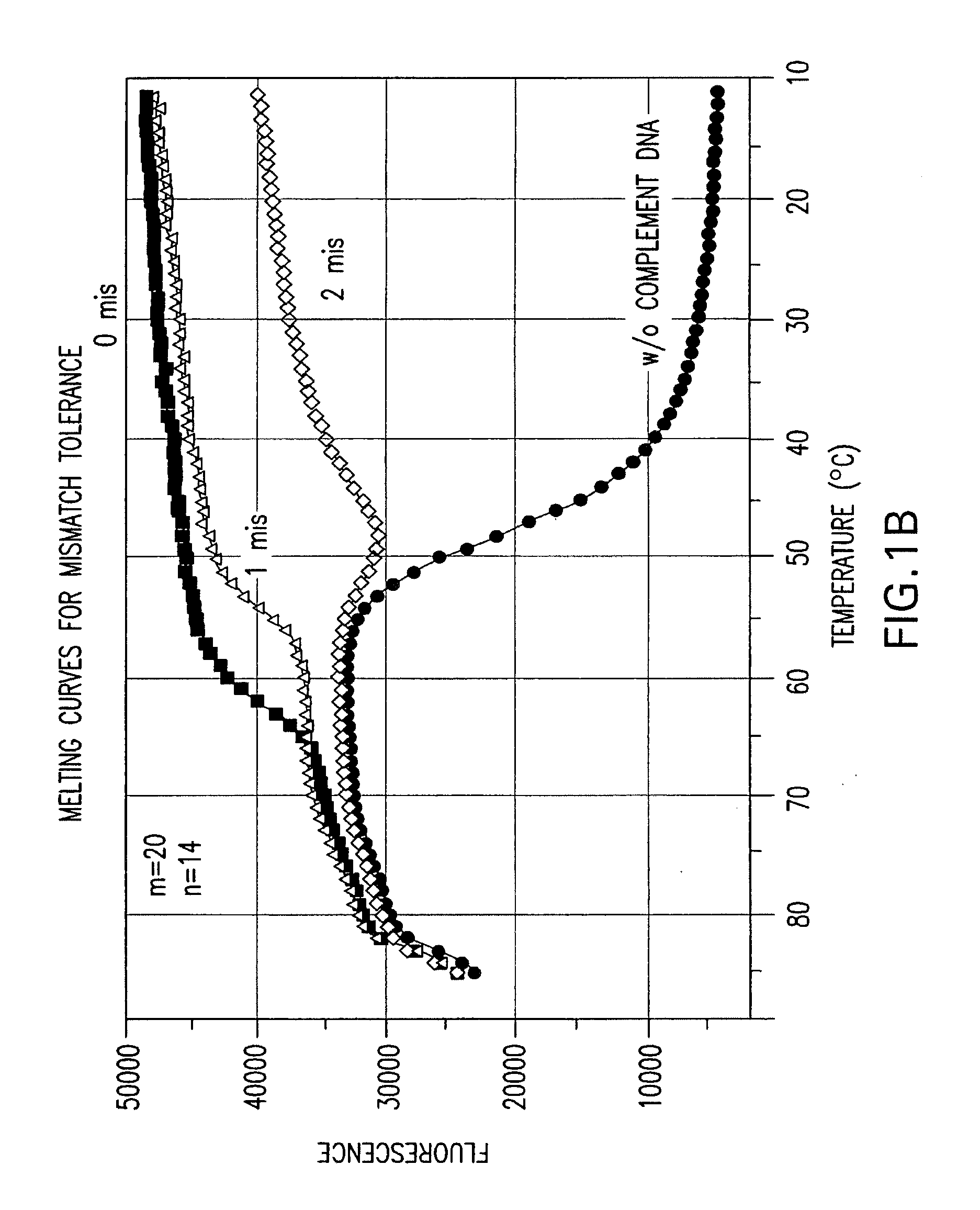 Double stranded linear nucleic acid probe