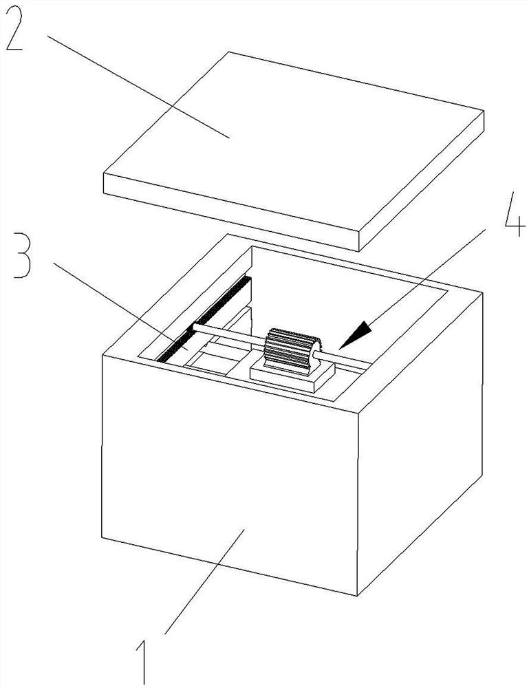 a seed germination box