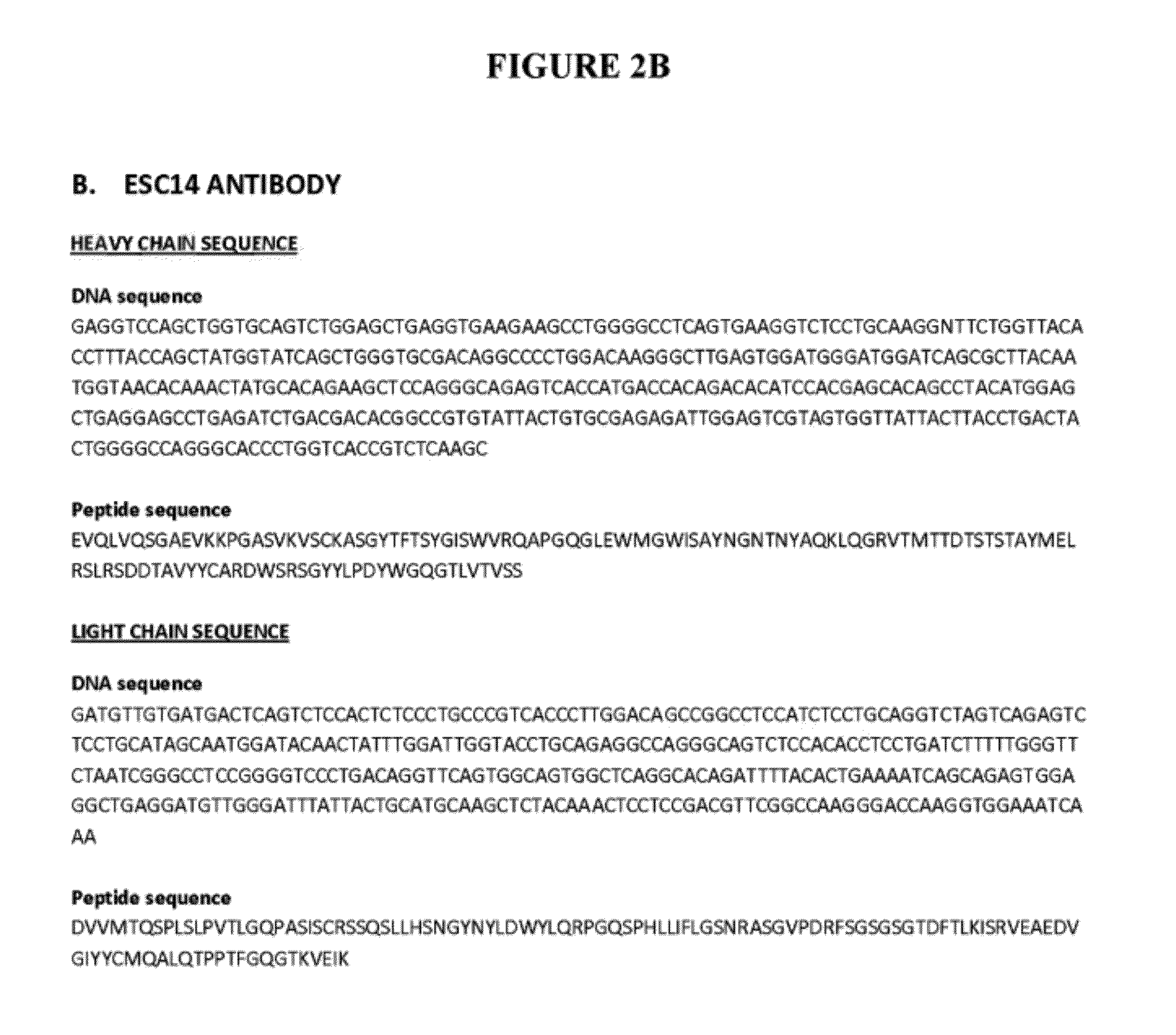 Anti-fibroblast activation protein antibodies and methods and uses thereof