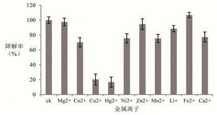 Bio-organic fertilizer with acetochlor degradation function and preparation method and application thereof