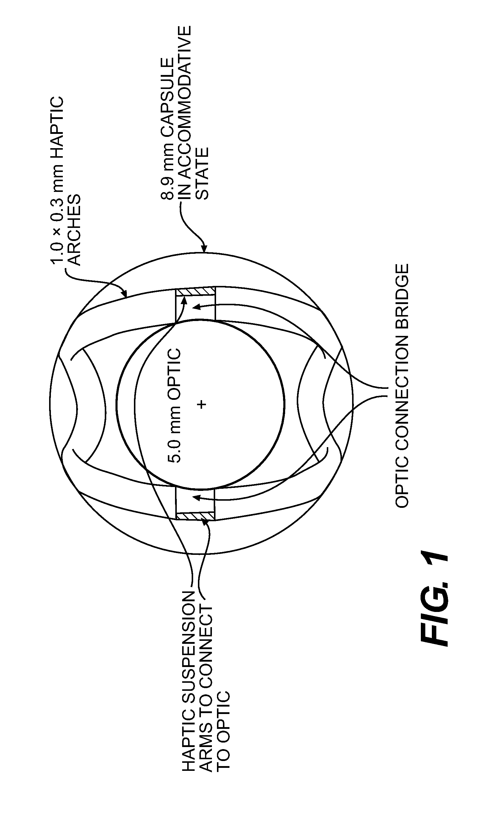 Pseudophakic Accommodating Intraocular Lens