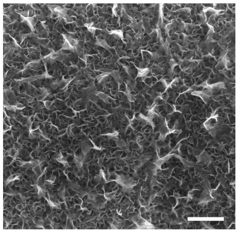 Method for preparing directly soaking reaction type foamed nickel-graphene three-dimensional porous electrode