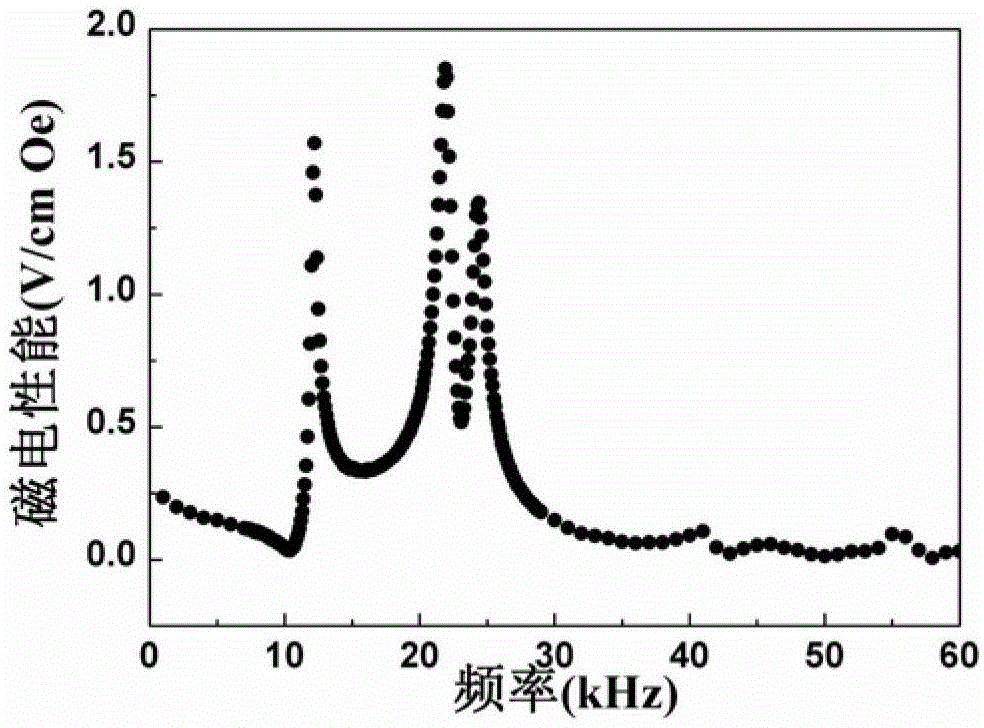 Method multi-field coupling preparation magnetoelectric composite