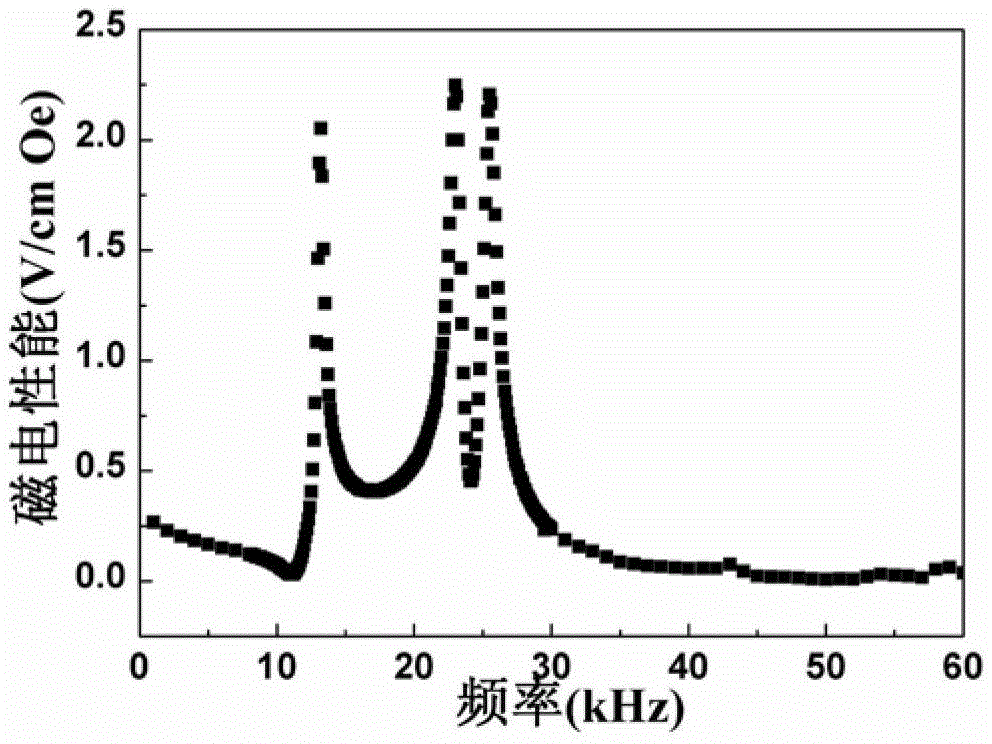 Method multi-field coupling preparation magnetoelectric composite