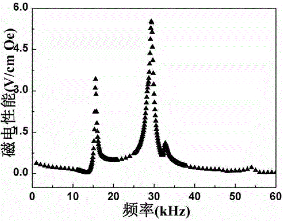 Method multi-field coupling preparation magnetoelectric composite