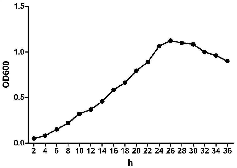 Preparation method and application of Brevibacterium cold-resistant zl-2 and its composting low-temperature starter bacterial agent