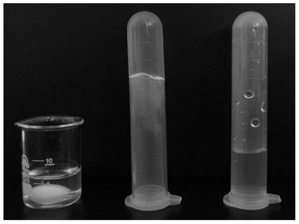 Asiaticoside gel dressing for external use and preparation method thereof