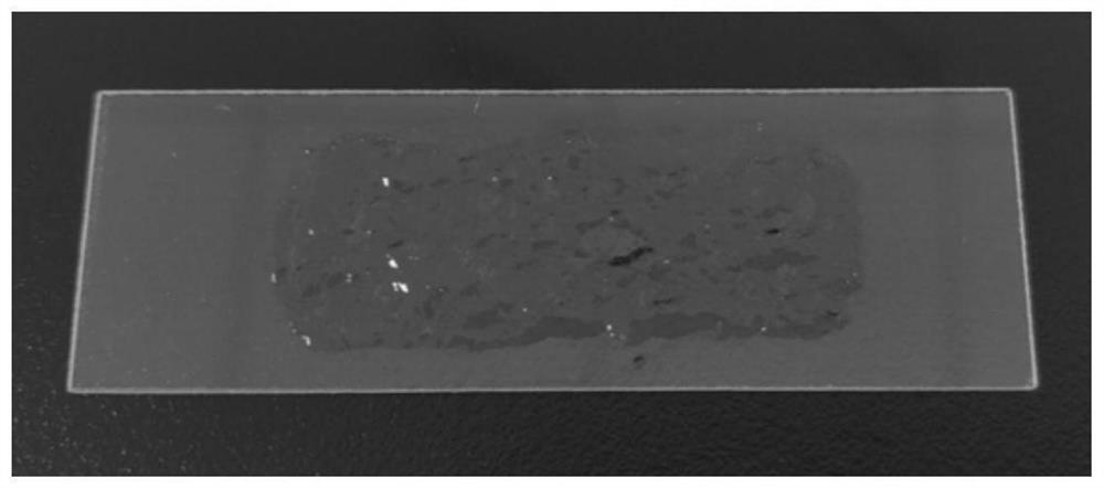 Asiaticoside gel dressing for external use and preparation method thereof