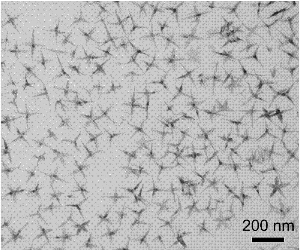 CuPd metal nano catalyst, and preparation and applications thereof