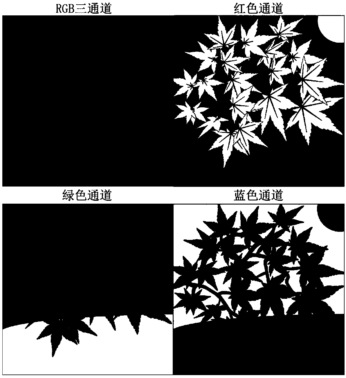 Sub-wavelength structure for realizing structural color and holographic double anti-counterfeiting effect