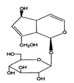 Method for extracting aucubin from folium cortex eucommiae