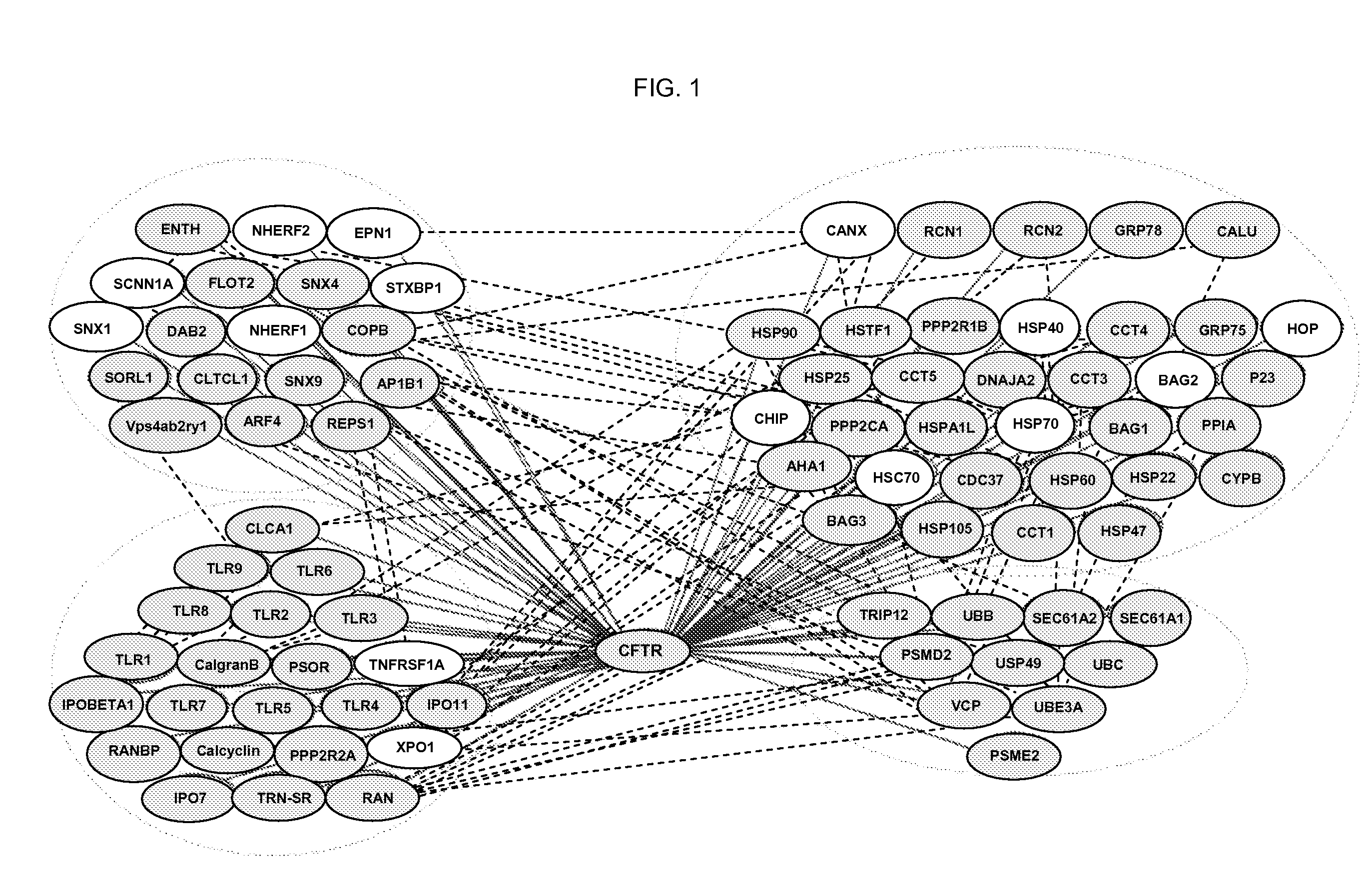 Treatment of Protein Misfolding