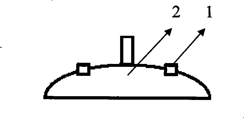 Method for detecting fresh degree of chicken meat by electronic nose