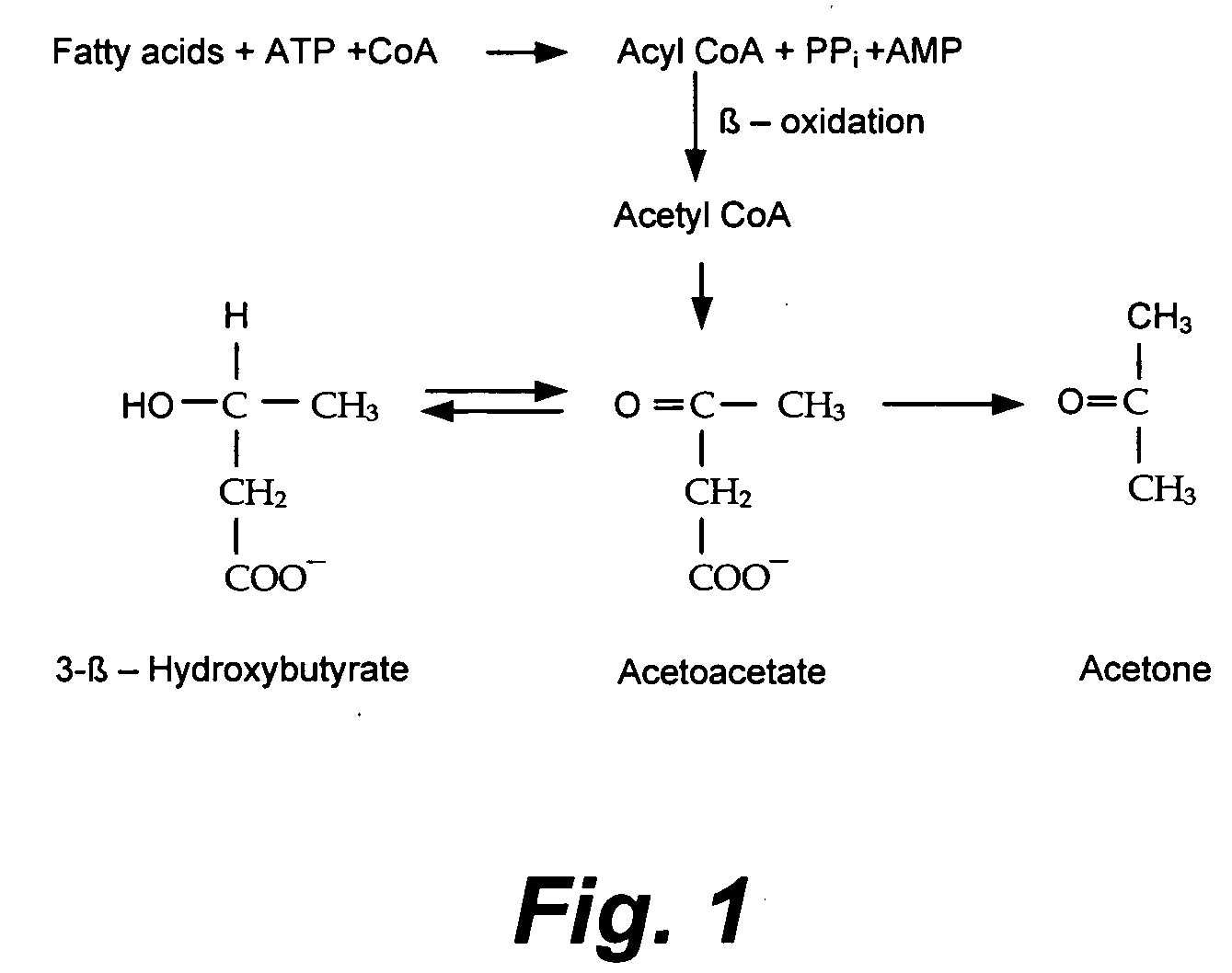 Apparatus and method for monitoring breath acetone and diabetic diagnostics