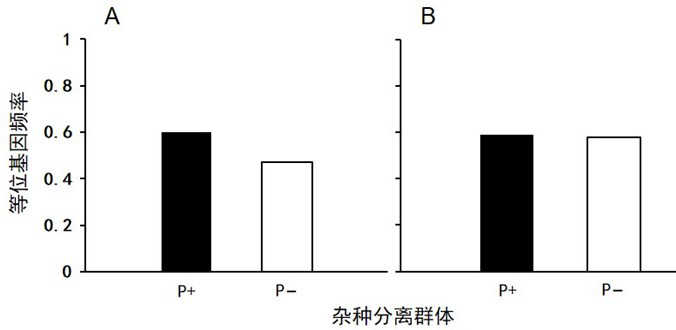 A Comparative Hybrid Population Sampling Method for Establishing Environmentally Safe Detection of Transgene Drift