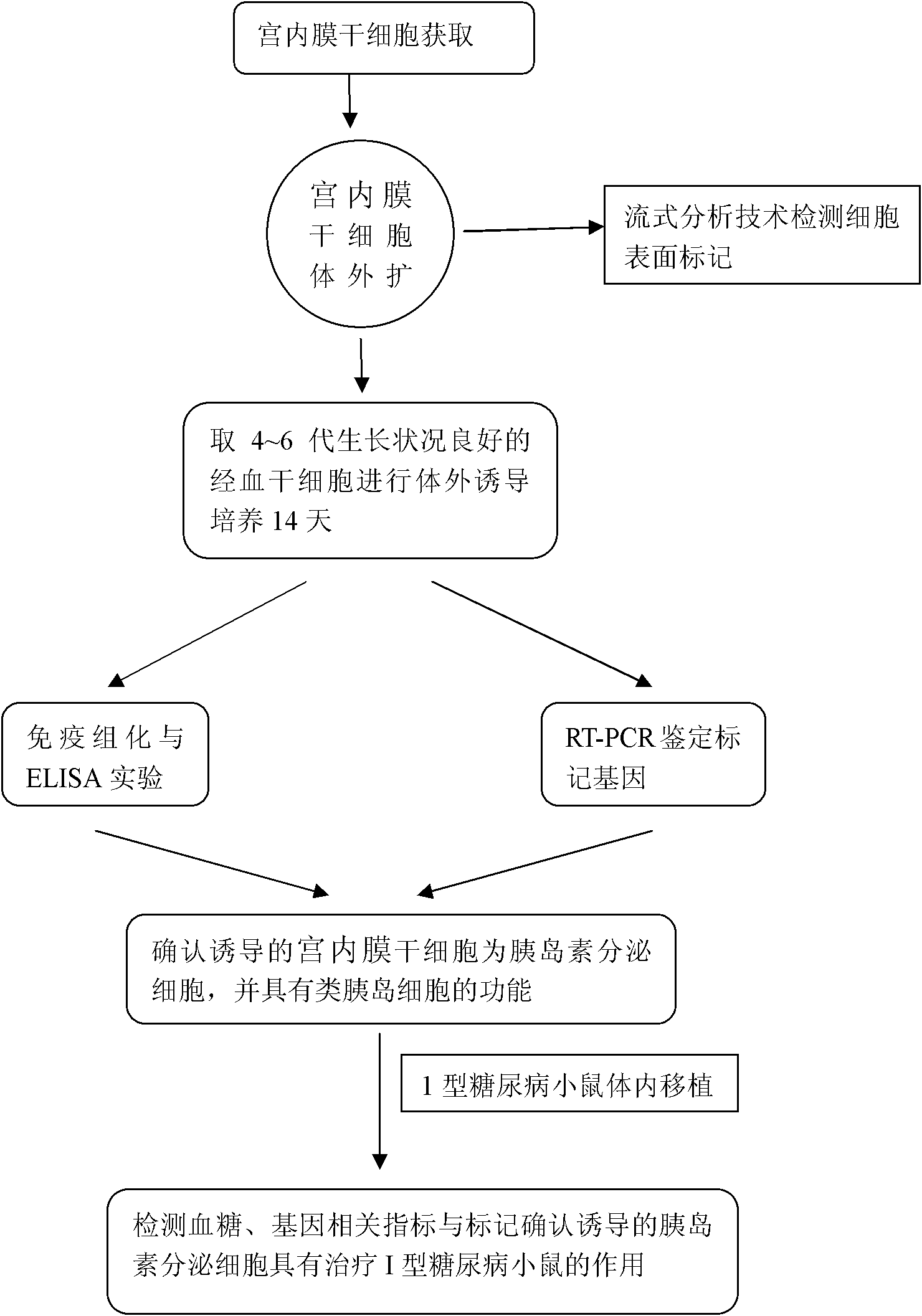 Method for directionally inducing insulin-secreting cells by endometrial stem cells