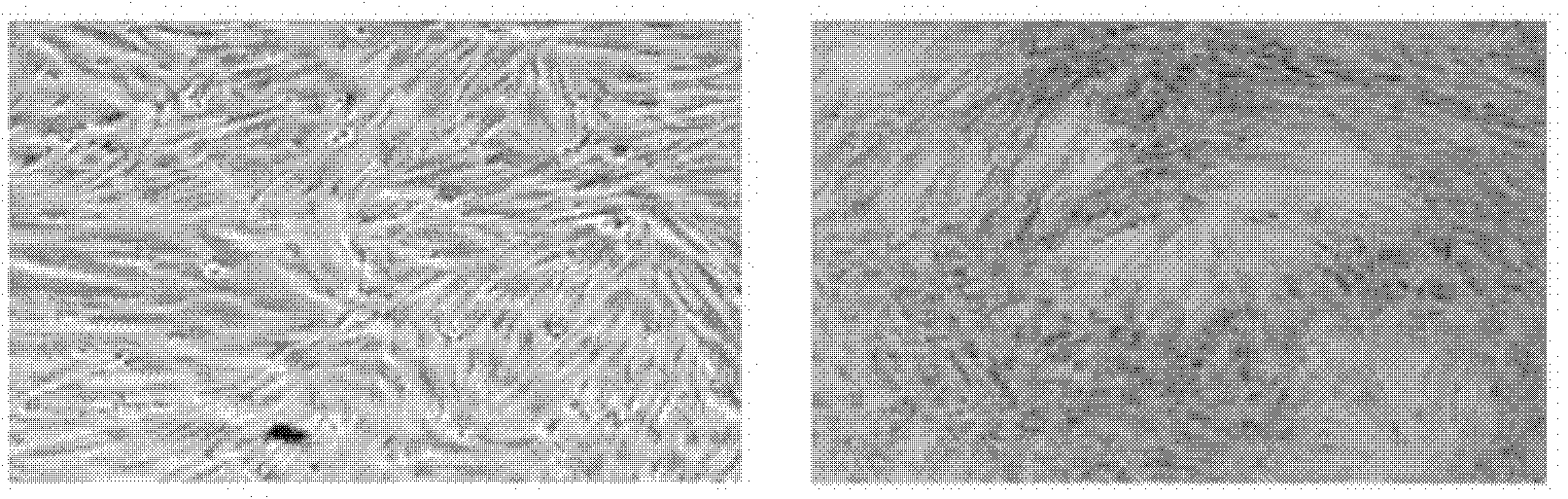 Method for directionally inducing insulin-secreting cells by endometrial stem cells