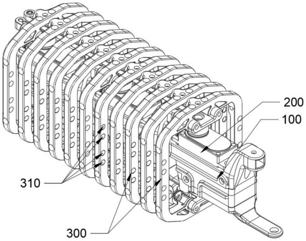 Bionic skeleton structure and application thereof