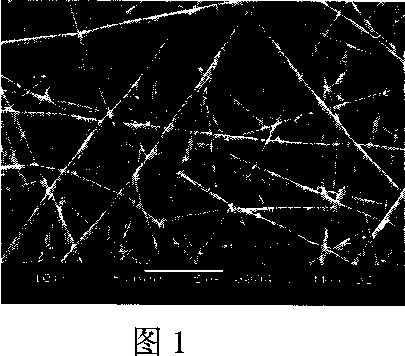 Preparing method and use of chitosan-containing nano fibrous tissue recovery support